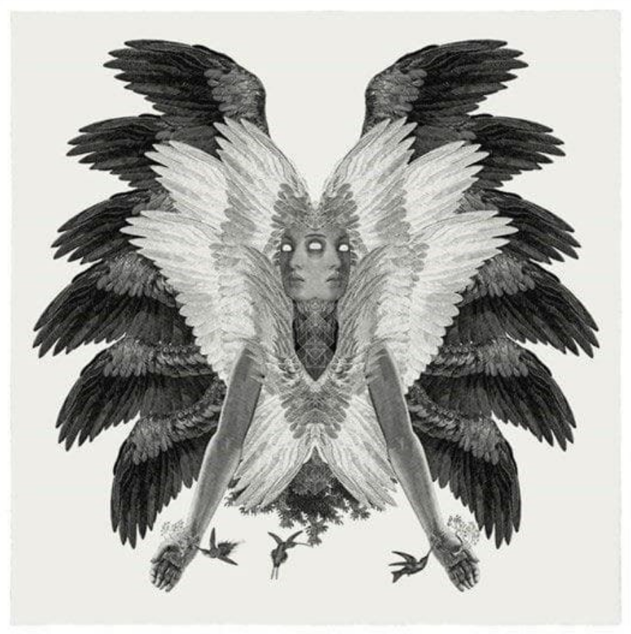 Dan Hillier - Colibri XL (Framed)