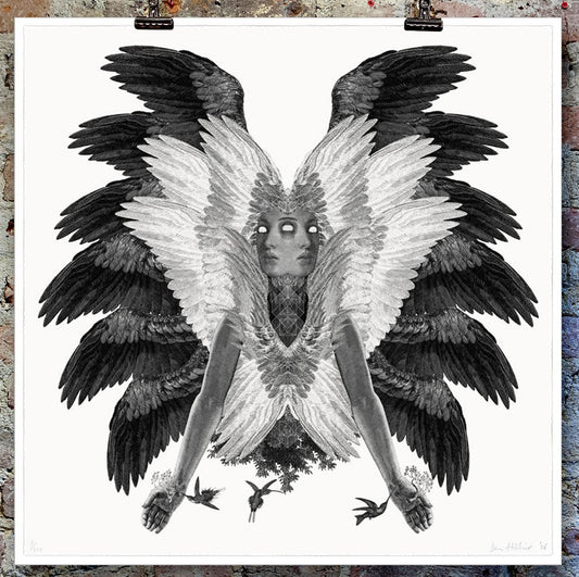 Dan Hillier - Colibri XL (Framed)