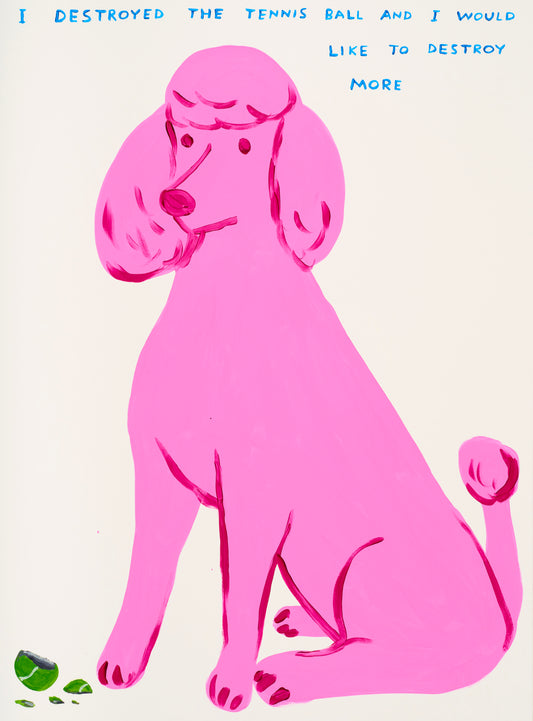 David Shrigley - I Destroyed The Tennis Ball