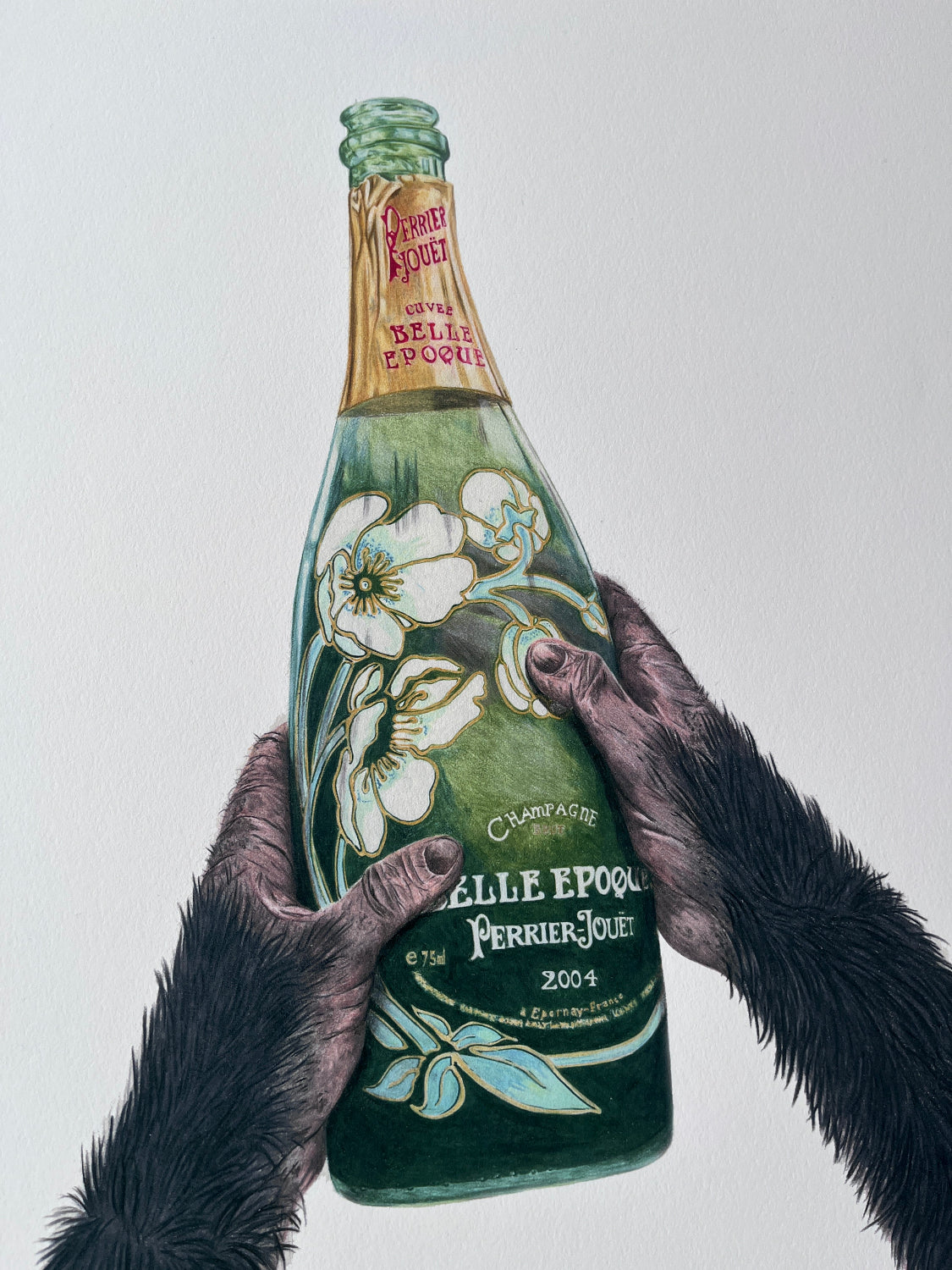 Adam Batchelor - Left Bank Ape