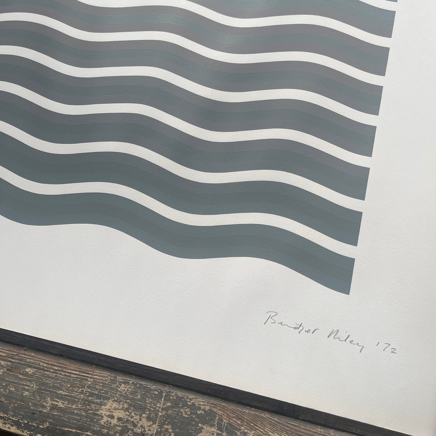Bridget Riley - Coloured Greys II (Signed Screenprint)