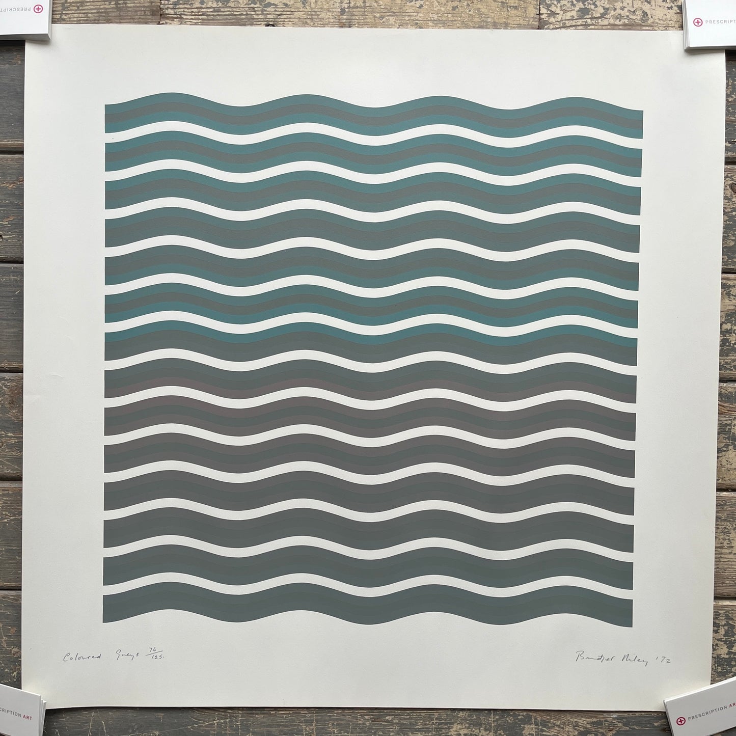 Bridget Riley - Coloured Greys II (Signed Screenprint)