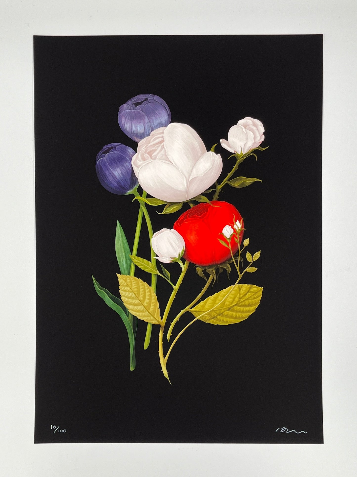 Richard Wilkinson - Mickey (Signed Print - A2 or A3 Size)
