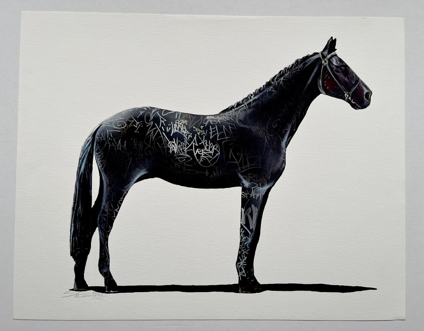 Shai Dahan - Graff Equestrian I