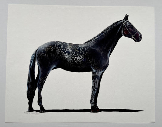 Shai Dahan - Graff Equestrian I