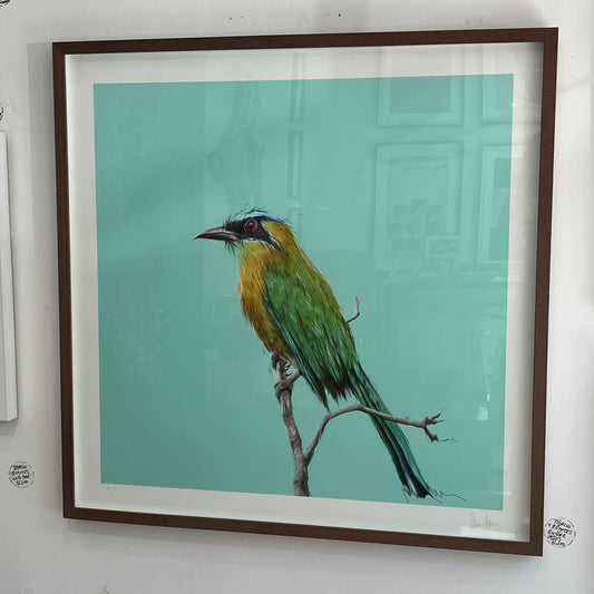 Stevie Anderson / International Feel - Sketches From An Island (Side B) - XXL Framed AP