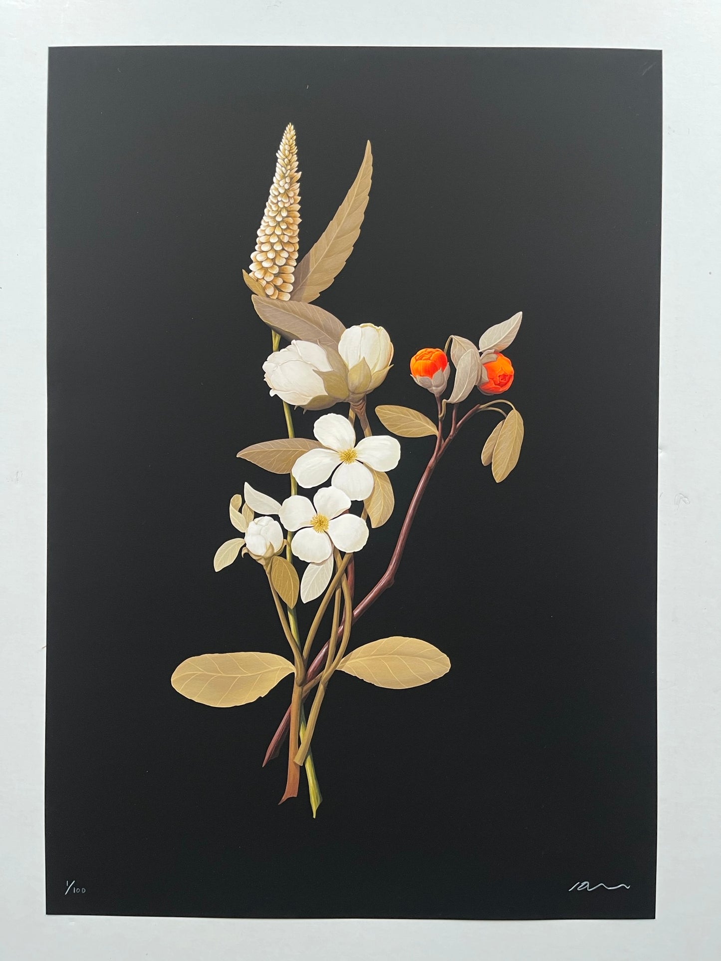 Richard Wilkinson - Bugs Bunny (Signed Print - A2 or A3 Size)