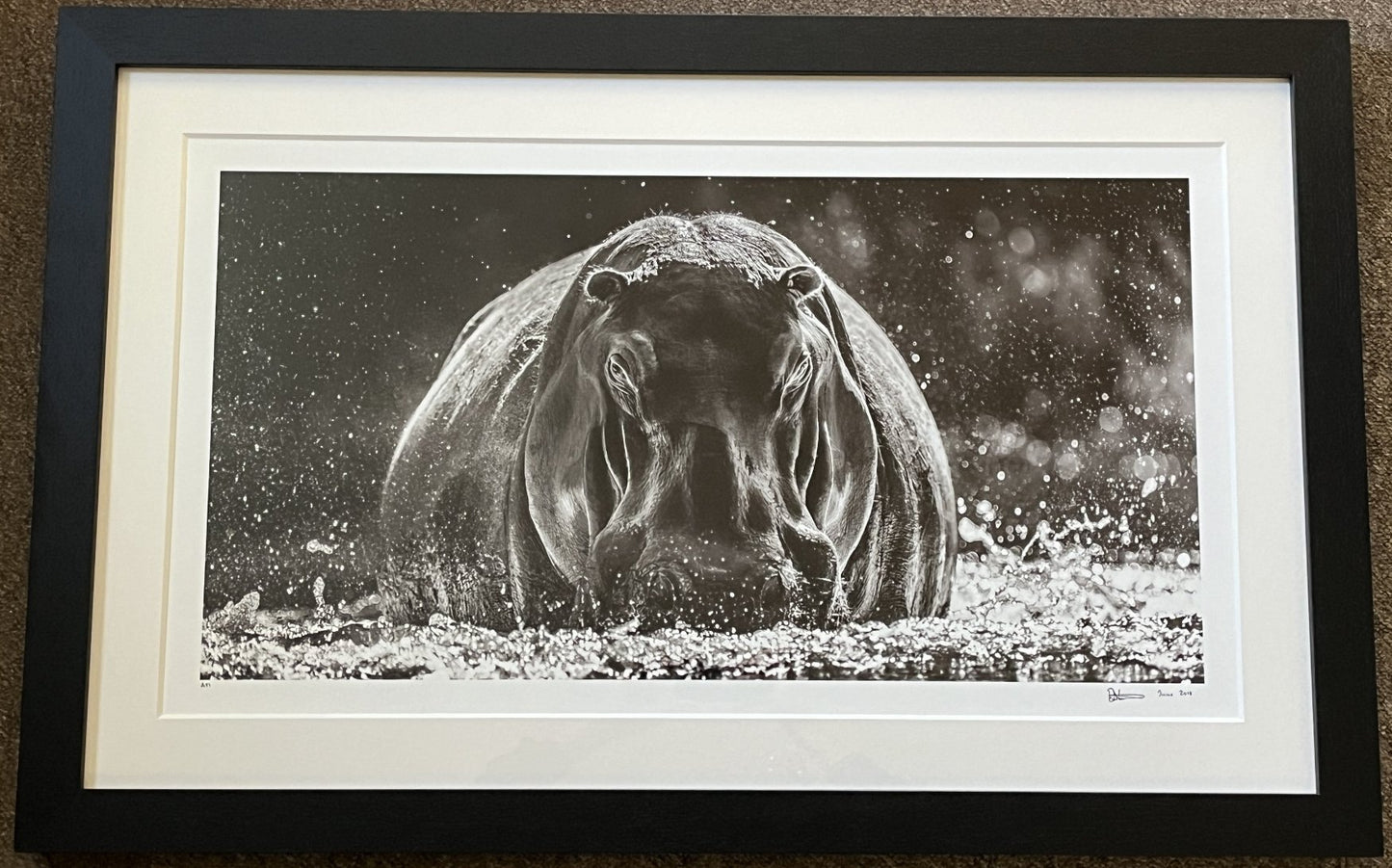 David Yarrow - Dexter (Artist Proof)