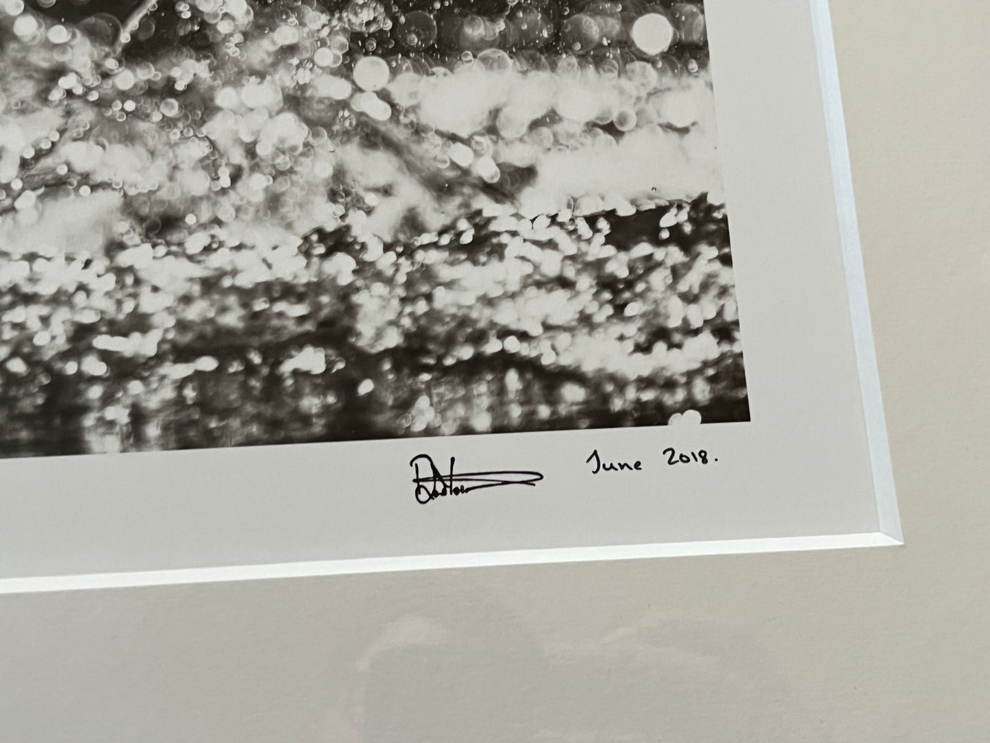 David Yarrow - Dexter (Artist Proof)