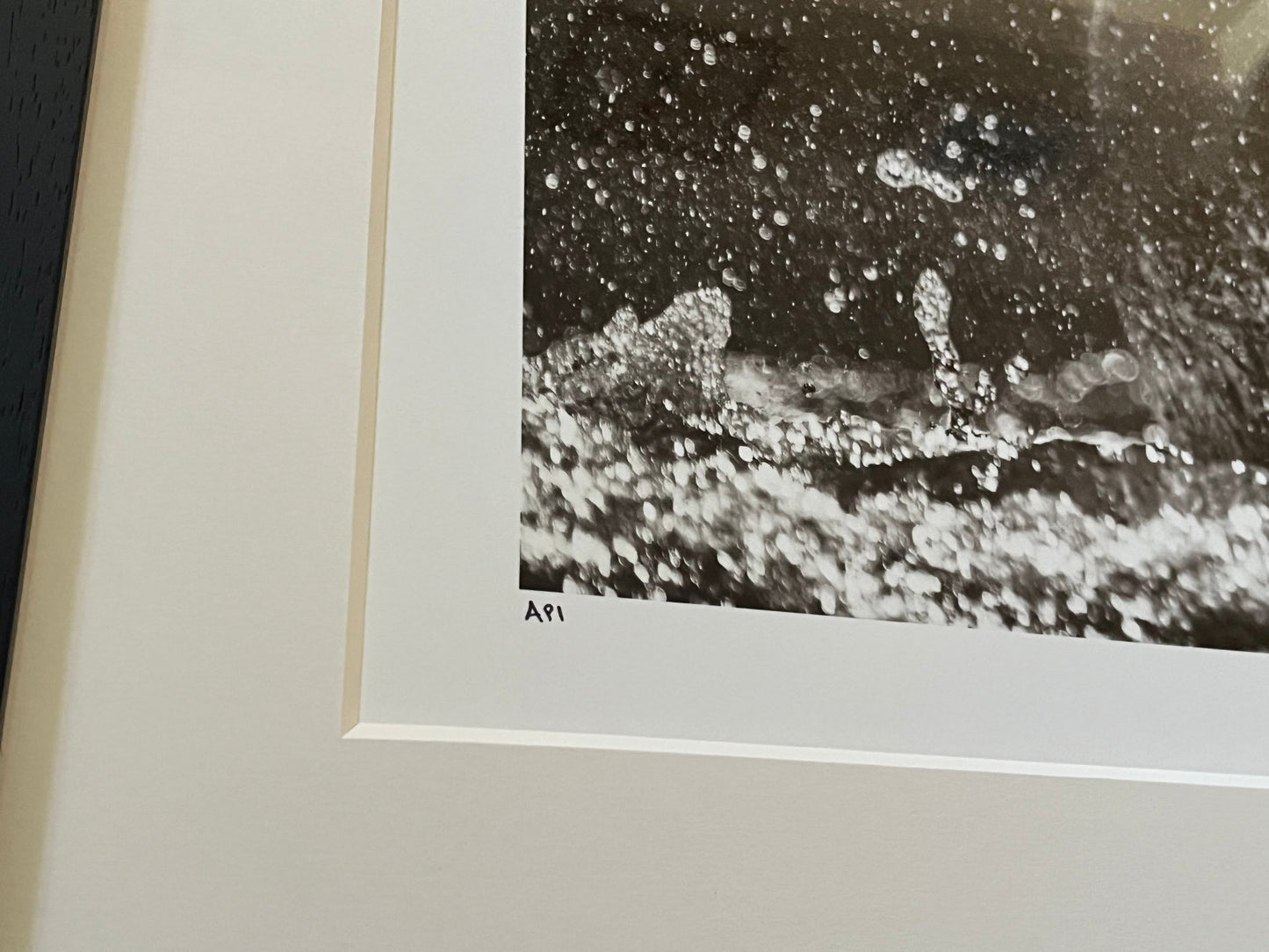David Yarrow - Dexter (Artist Proof)