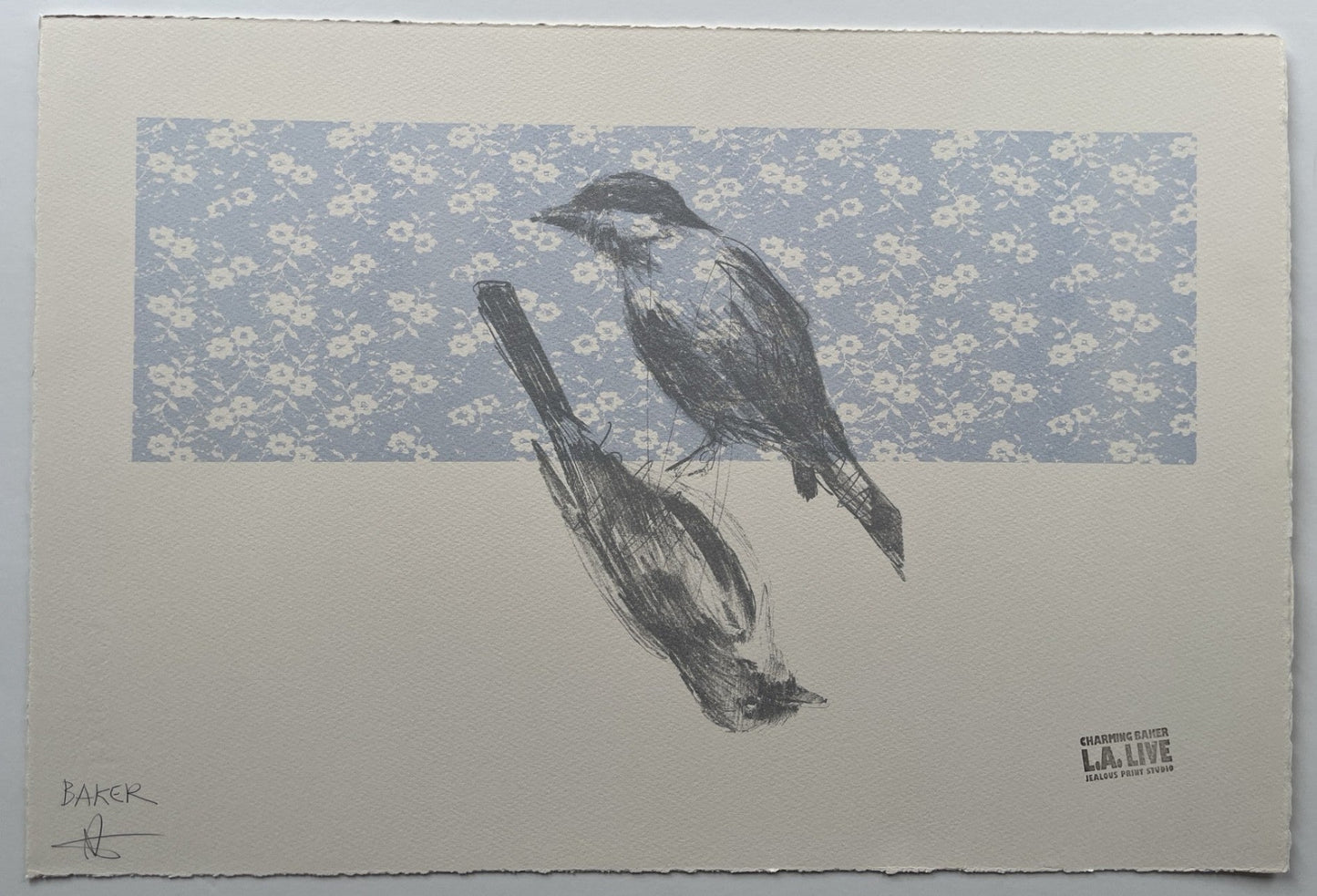 Charming Baker - Birds (LA Print)
