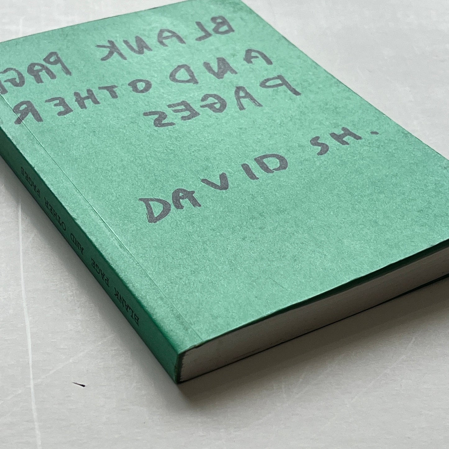David Shrigley - Blank Page And Other Pages (Rare book from 1998 - 500 Copies)