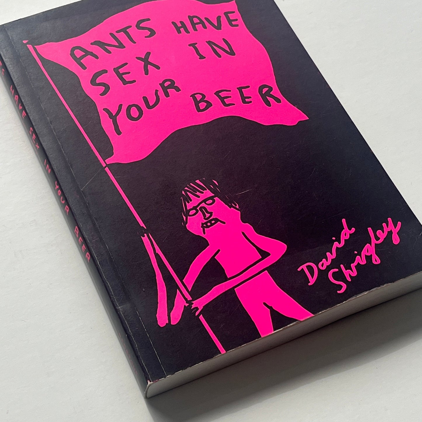David Shrigley - Ants Have Sex In Your Beer