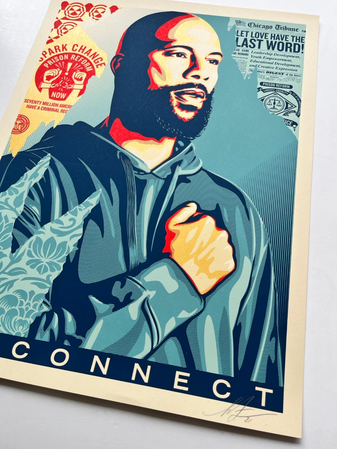 Shepard Fairey - Reconnect