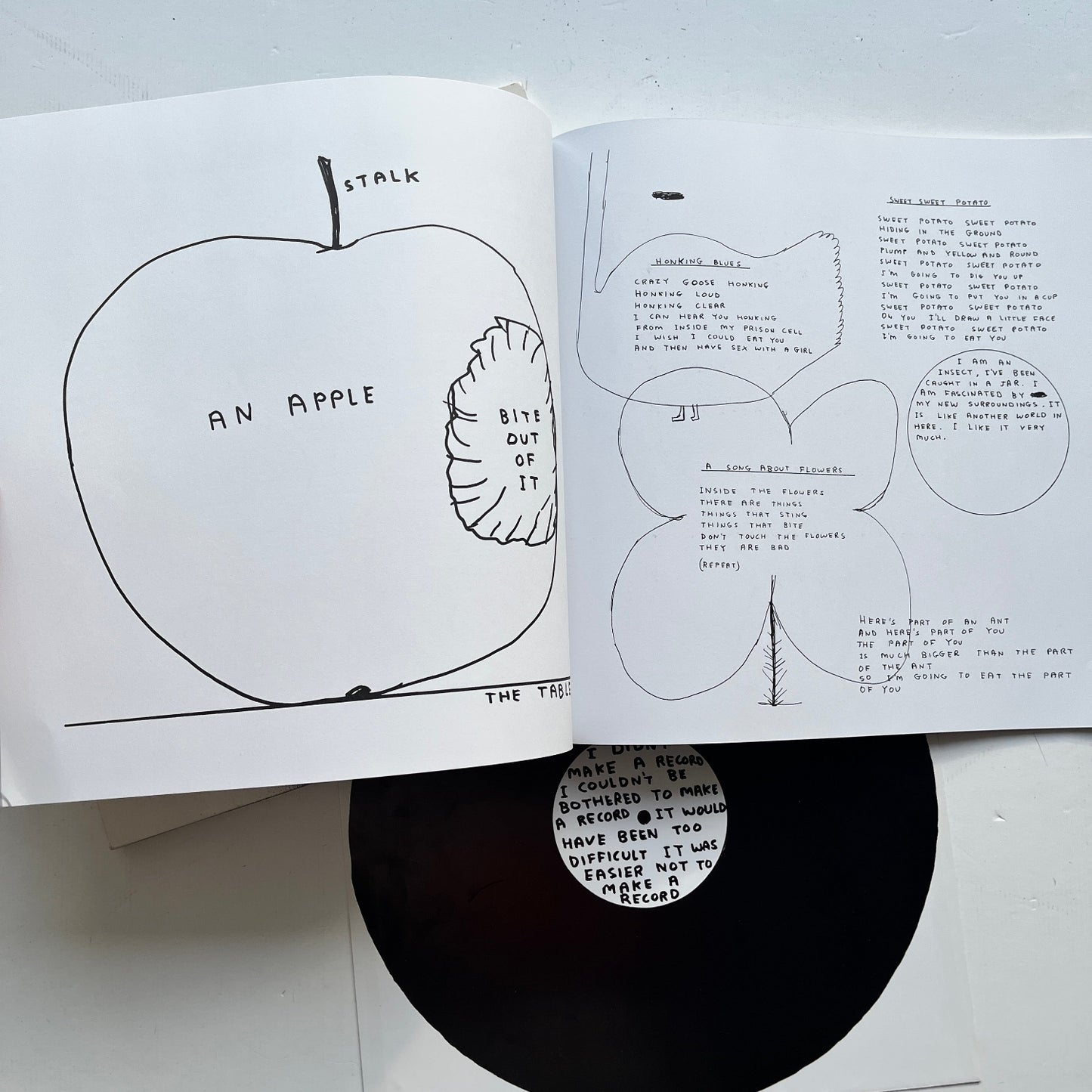 David Shrigley - Worried Noodles (LP Sized Book)