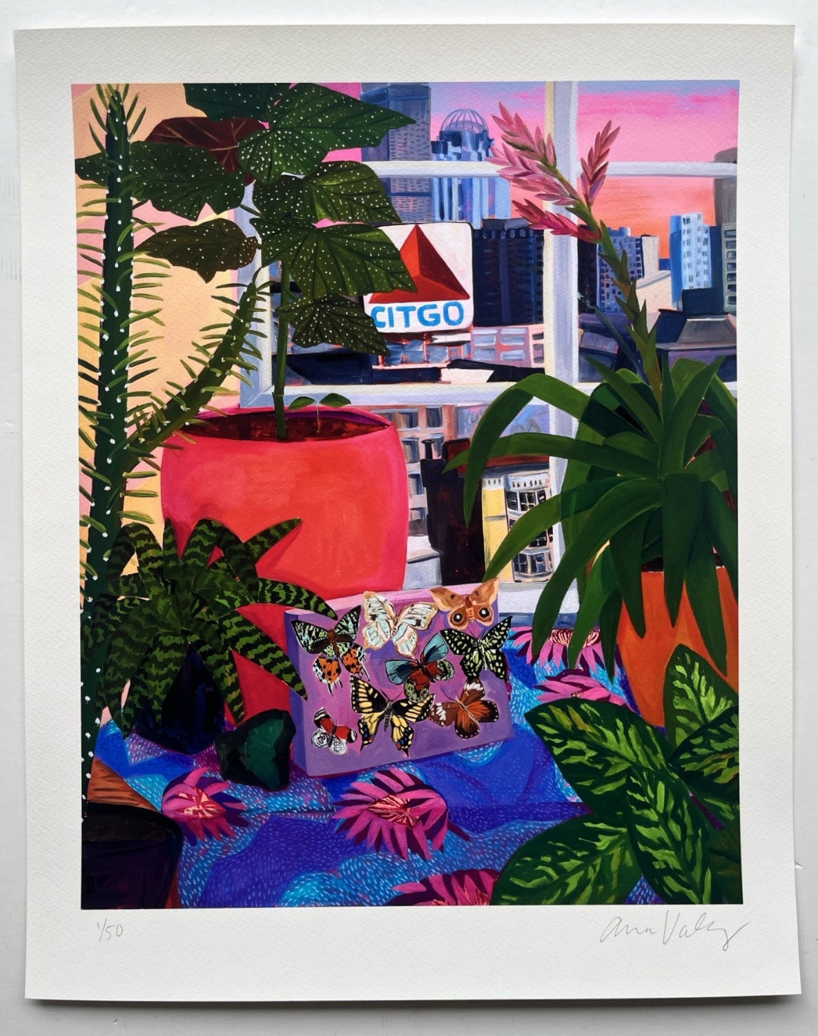 Anna Valdez - Boston View With Taxidermied Butterflies