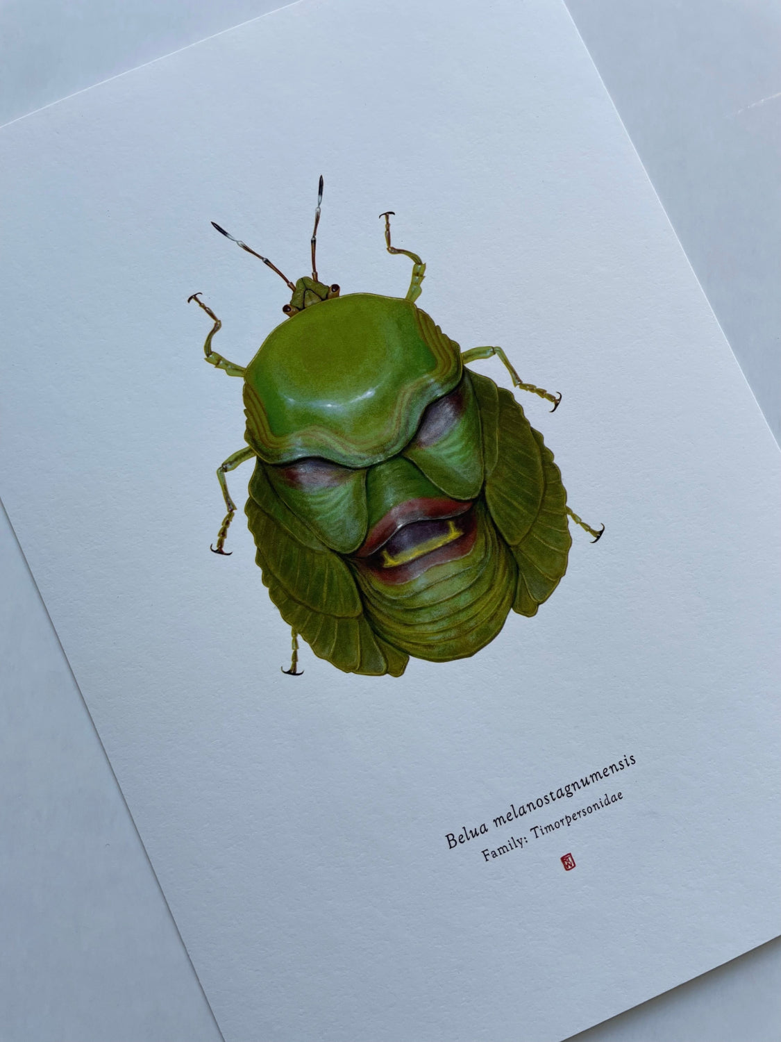Richard Wilkinson - Belua Melanostagnumensis (The Creature From The Black Lagoon)