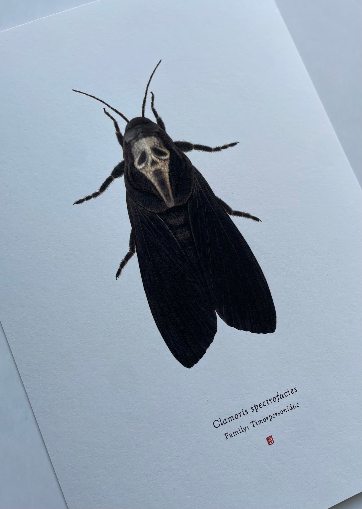 Richard Wilkinson - Clamoris Spectrofacies (Scream)