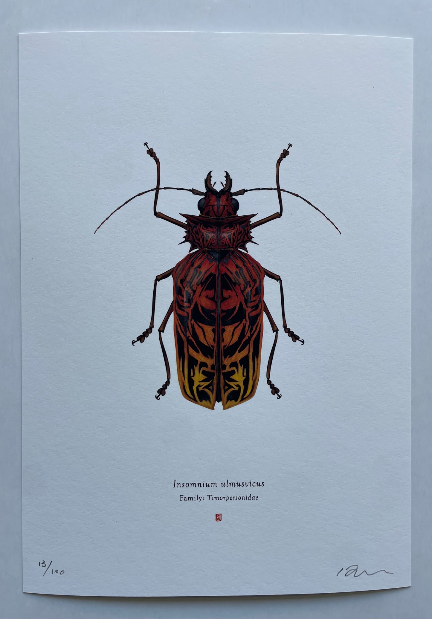 Richard Wilkinson - Insomnium Ulmusvicus (Freddy Krueger)