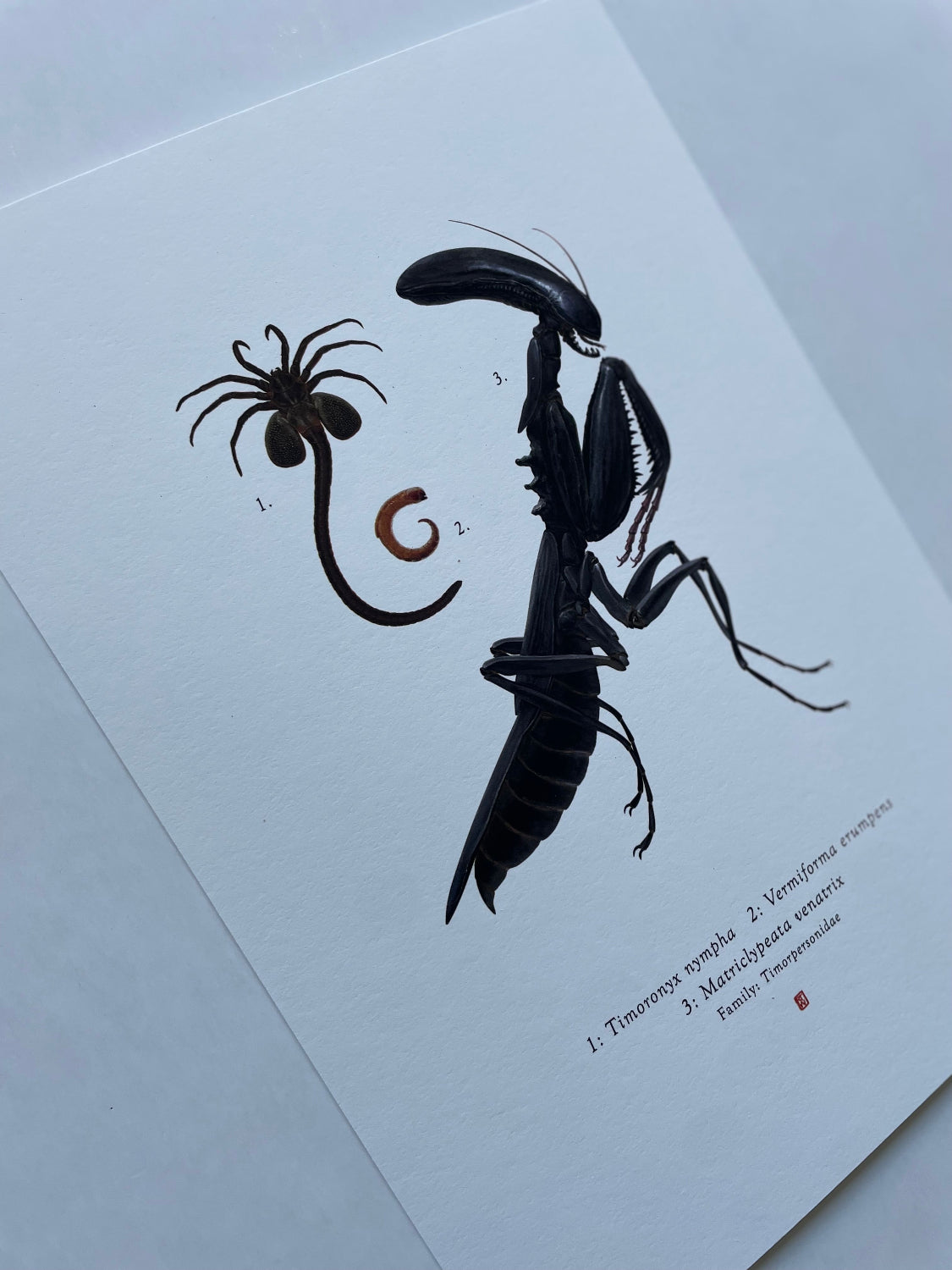 Richard Wilkinson - Matricypeata Venatrix (Alien)