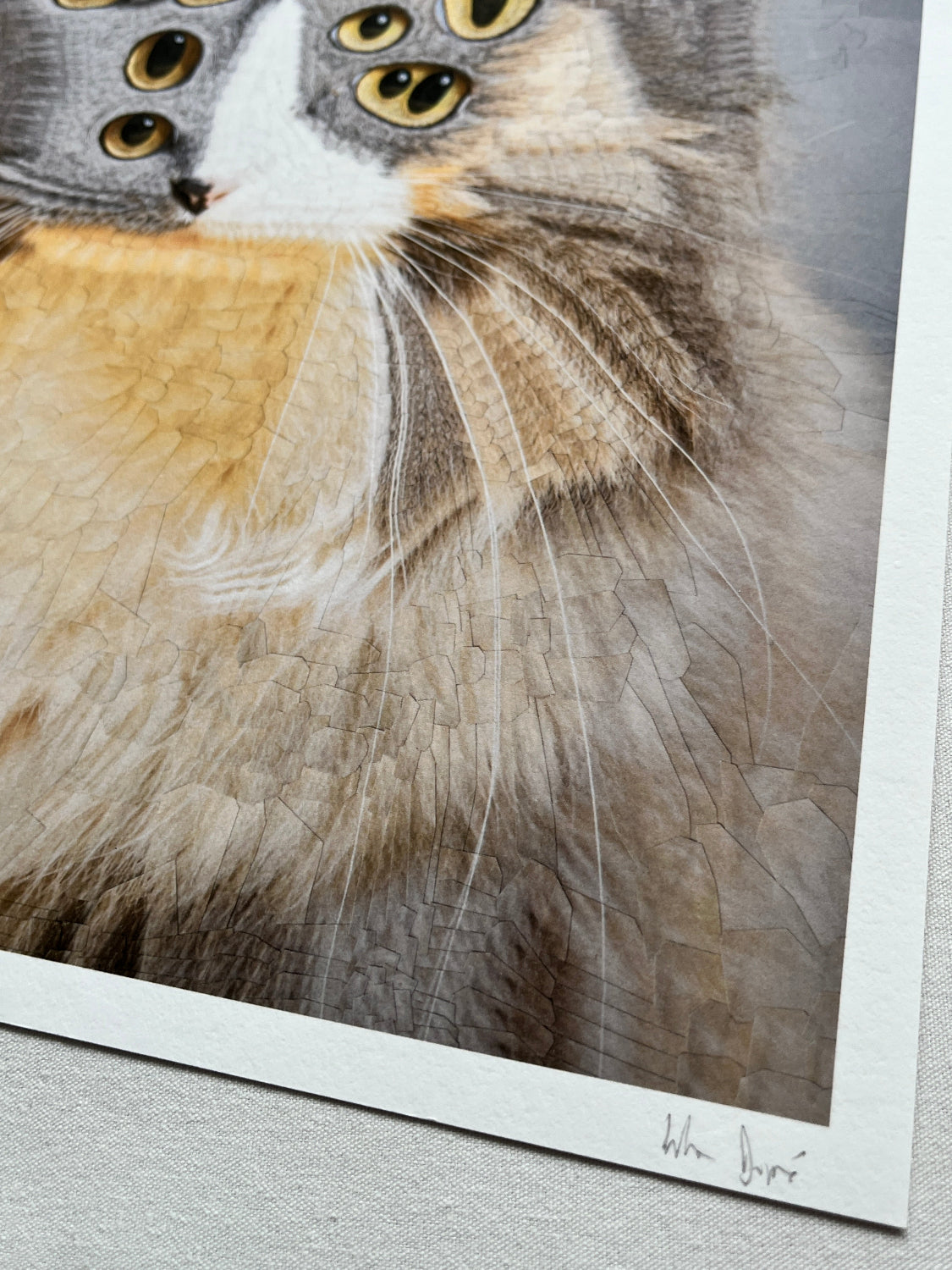 Lola Dupré - Marmalade