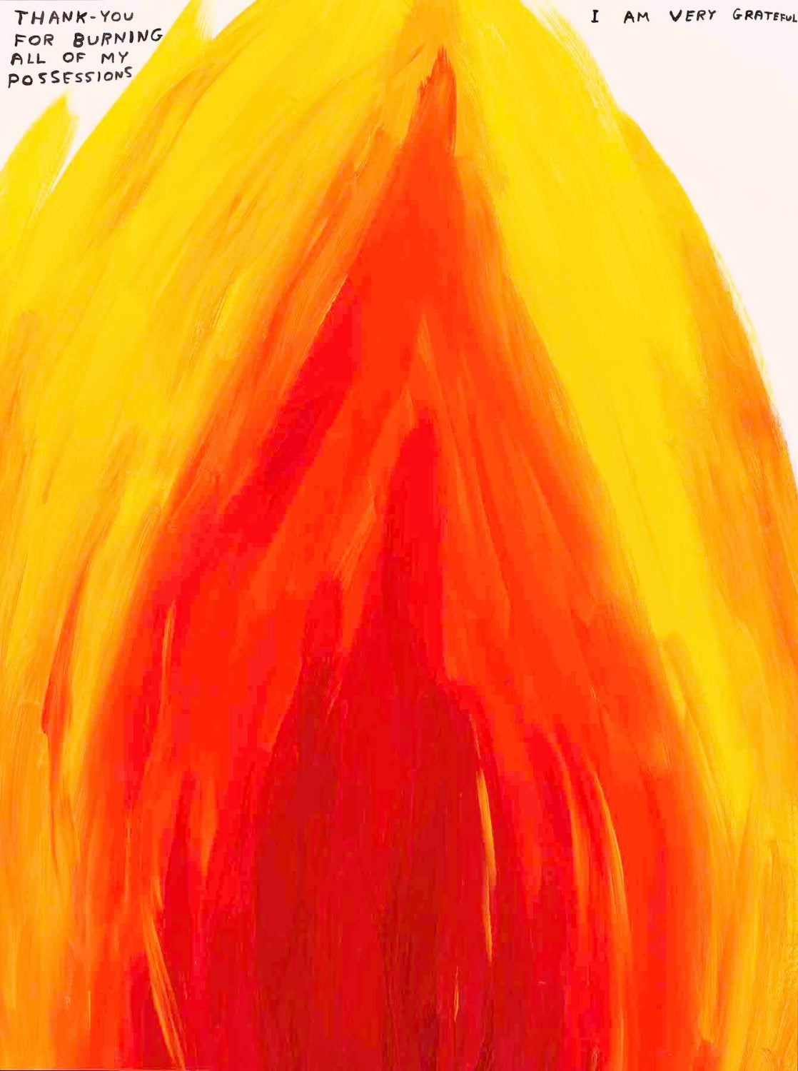 David Shrigley - Thank You For Burning My Possessions