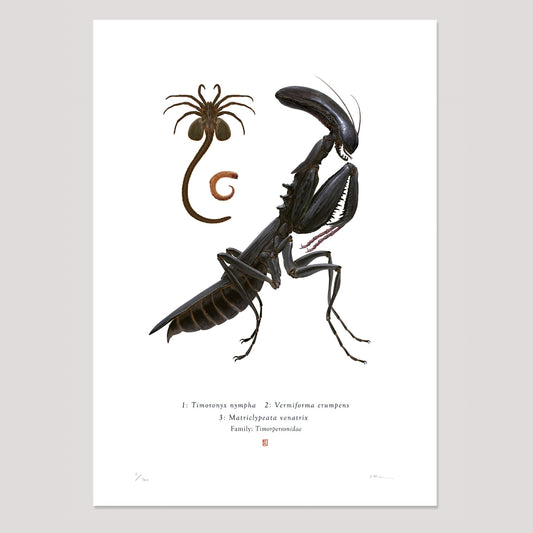 Richard Wilkinson - Matricypeata Venatrix (Alien)