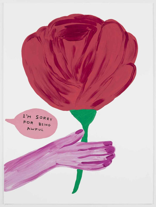David Shrigley - I'm Sorry For Being Awful