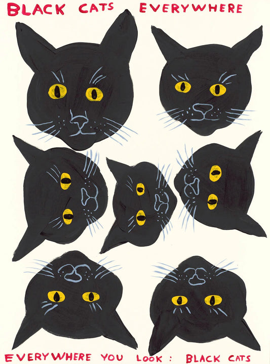 David Shrigley - Black Cats