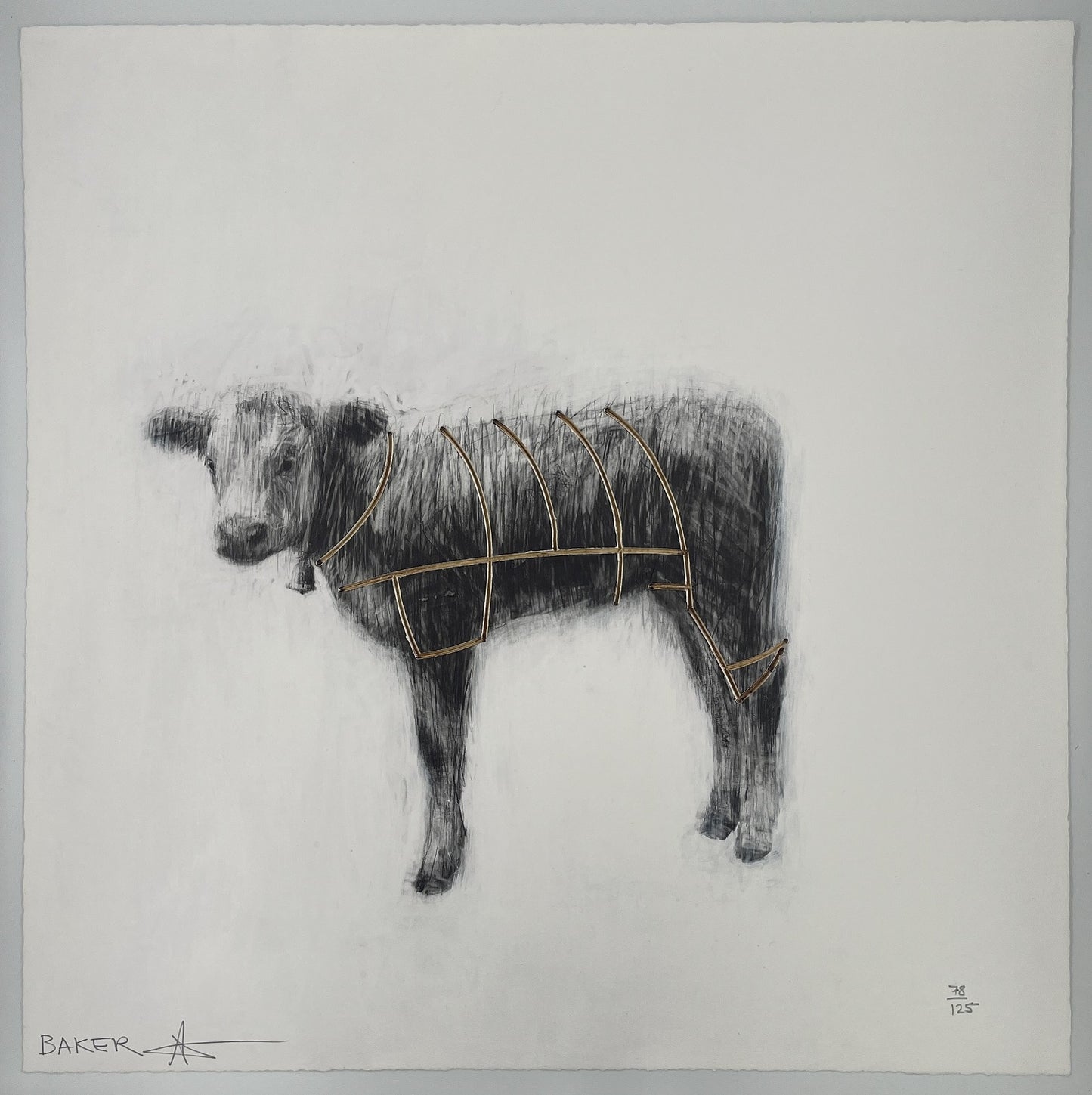Charming Baker - Calf