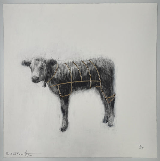 Charming Baker - Calf