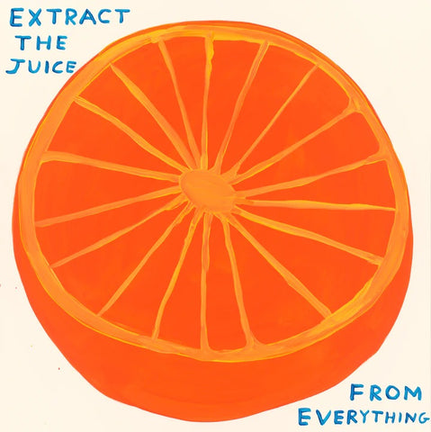 David Shrigley - Extract The Juice From Everything - Signed Screenprint - Jealous 