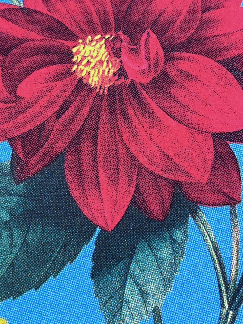 Joe Webb - Flower Station