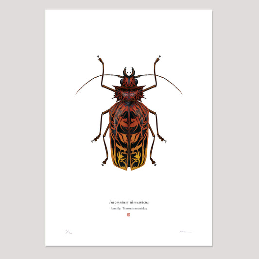 Richard Wilkinson - Insomnium Ulmusvicus (Freddy Krueger)