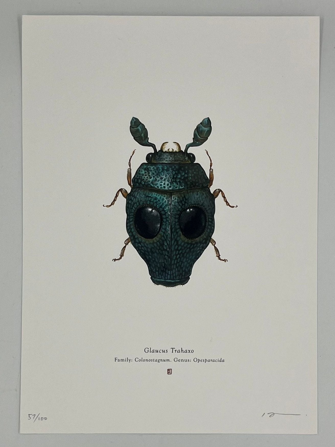 Richard Wilkinson - Glaucus Trahaxo (Greedo)