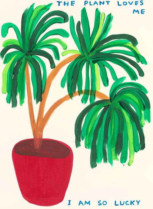 David Shrigley - The Plant Loves Me