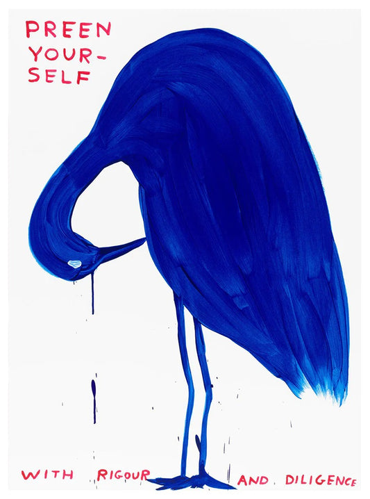 David Shrigley - Preen Yourself