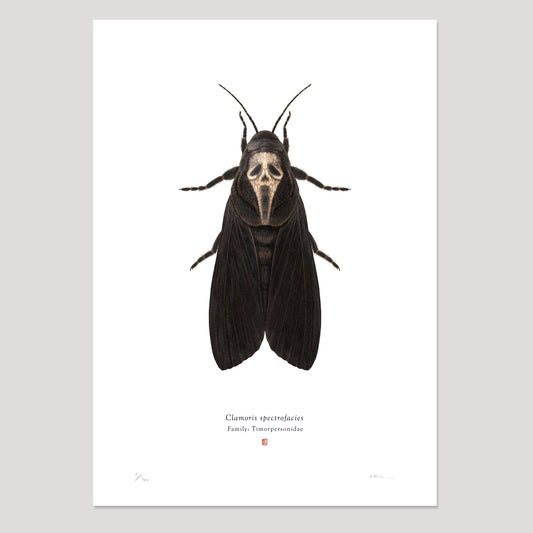 Richard Wilkinson - Clamoris Spectrofacies (Scream)