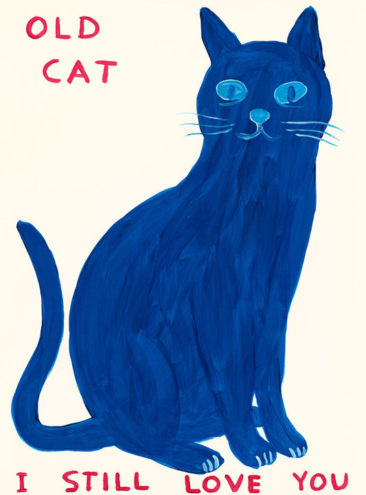 David Shrigley - Old Cat