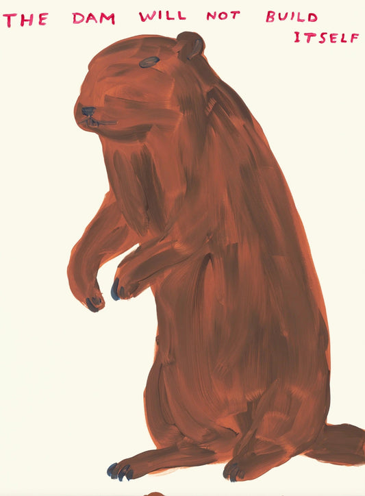 David Shrigley - The Dam Will Not Build Itself