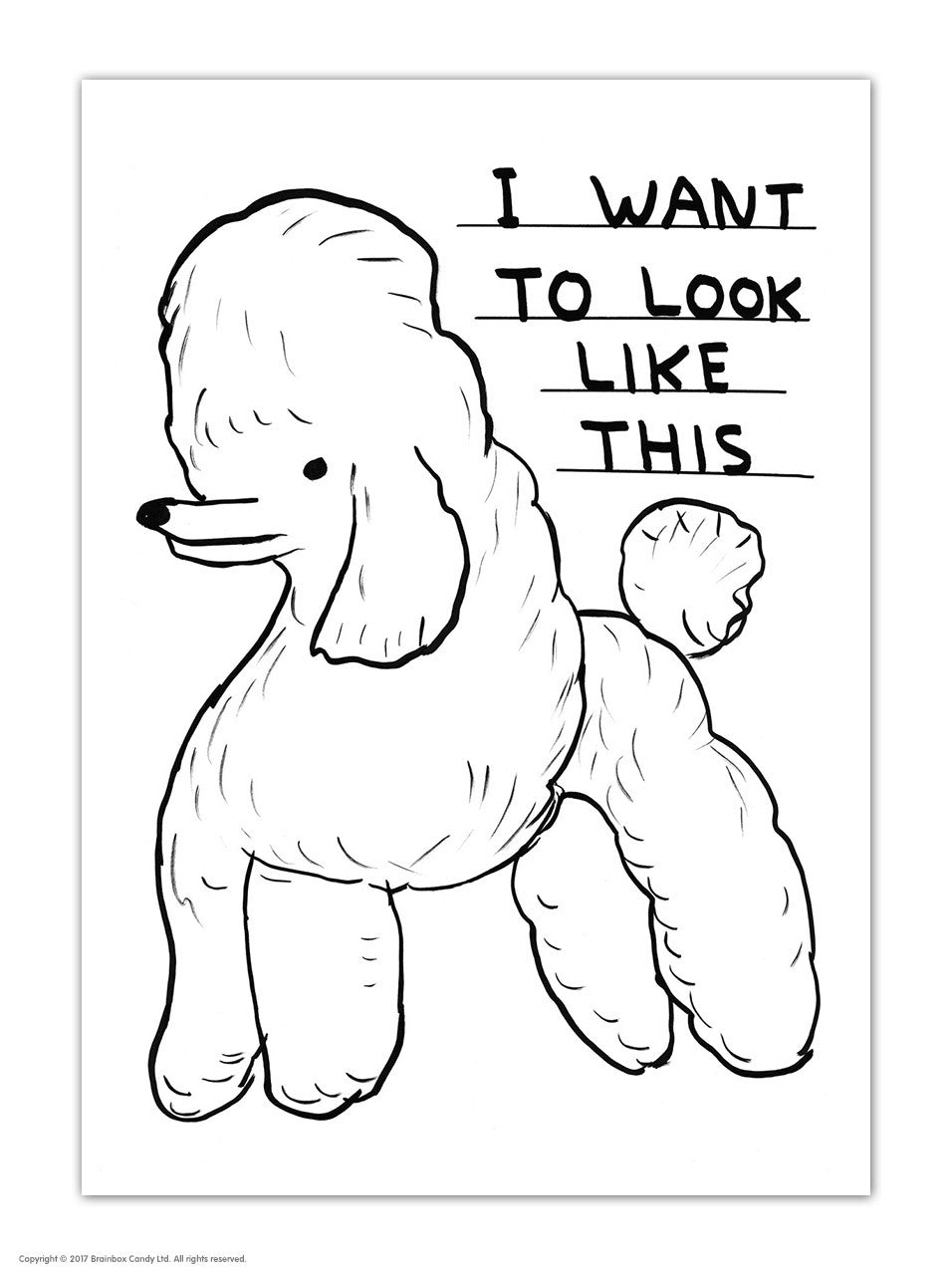 David Shrigley - Postcards (Many Different Designs!)