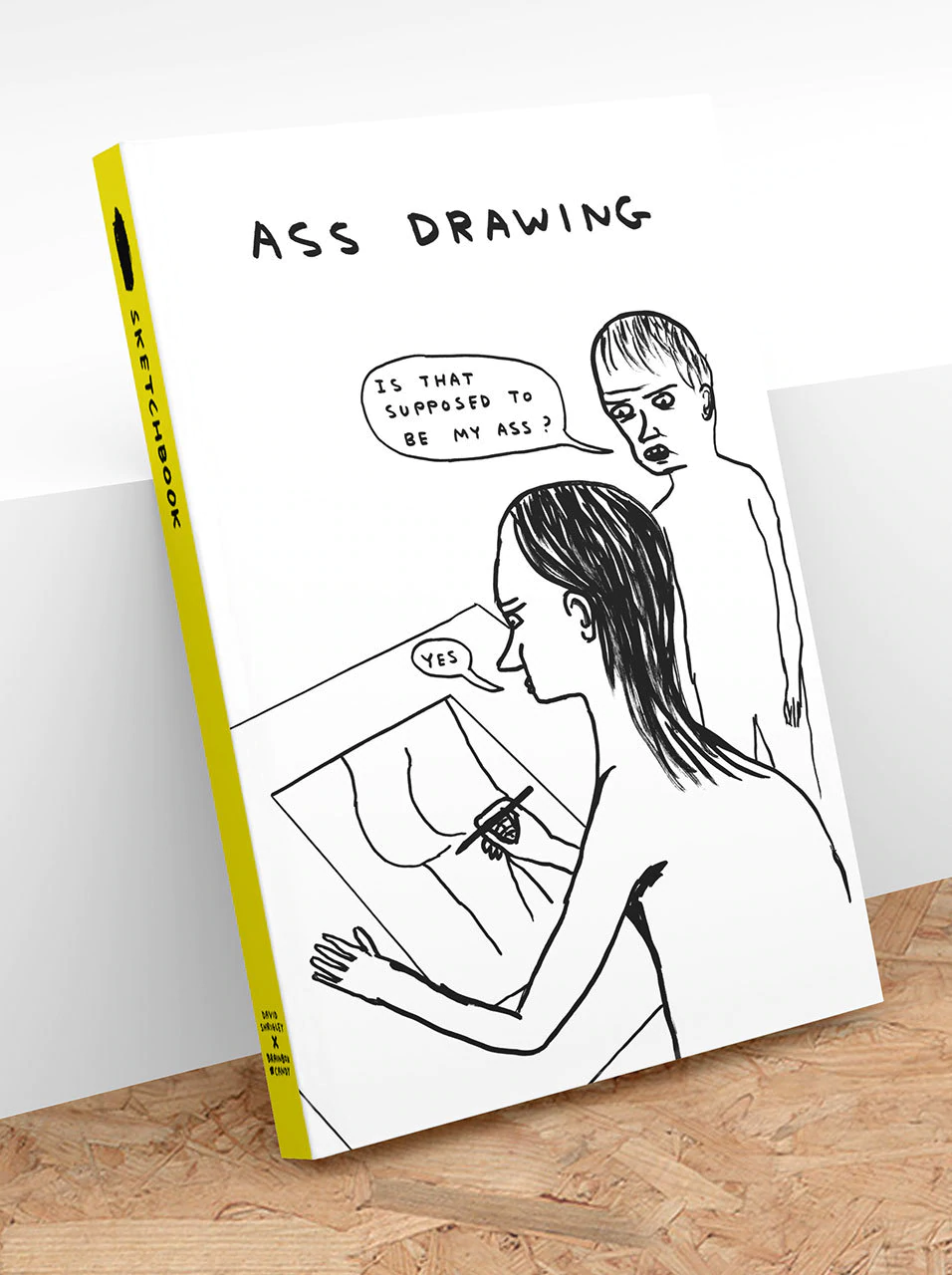 David Shrigley - Sketchbook (View for choices!)