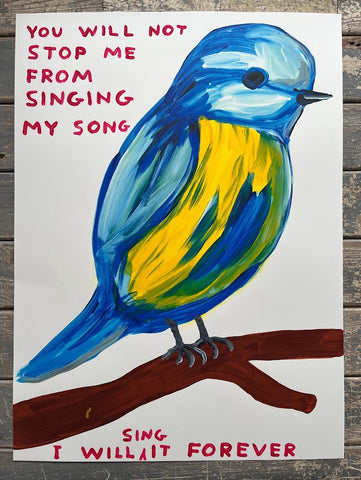 David Shrigley - You Will Not Stop Me From Singing My Song
