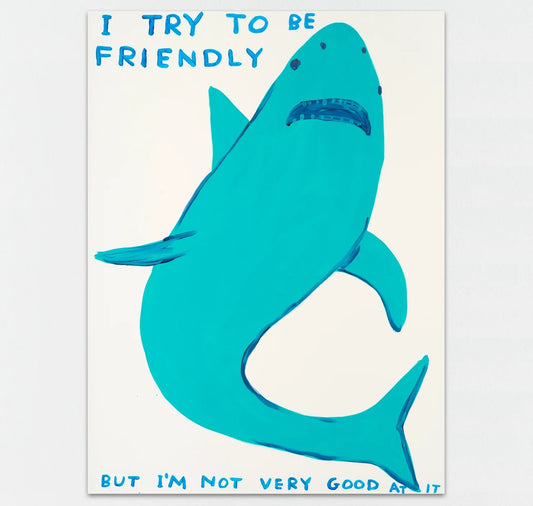 David Shrigley - I Try To Be Friendly
