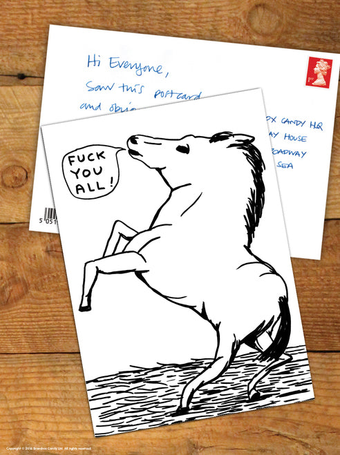 David Shrigley - Postcards (Many Different Designs!)