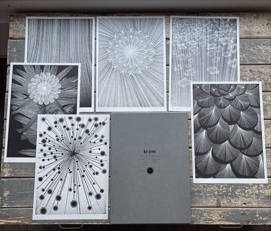 Kai & Sunny - The Flower Show - Series 2 (Box Set / Portfolio)