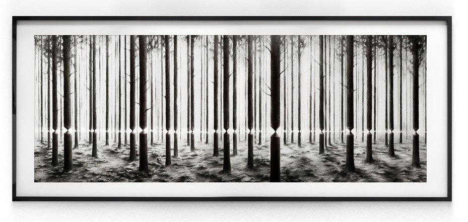Pejac - Linea - Signed Lenticular Street Art Print