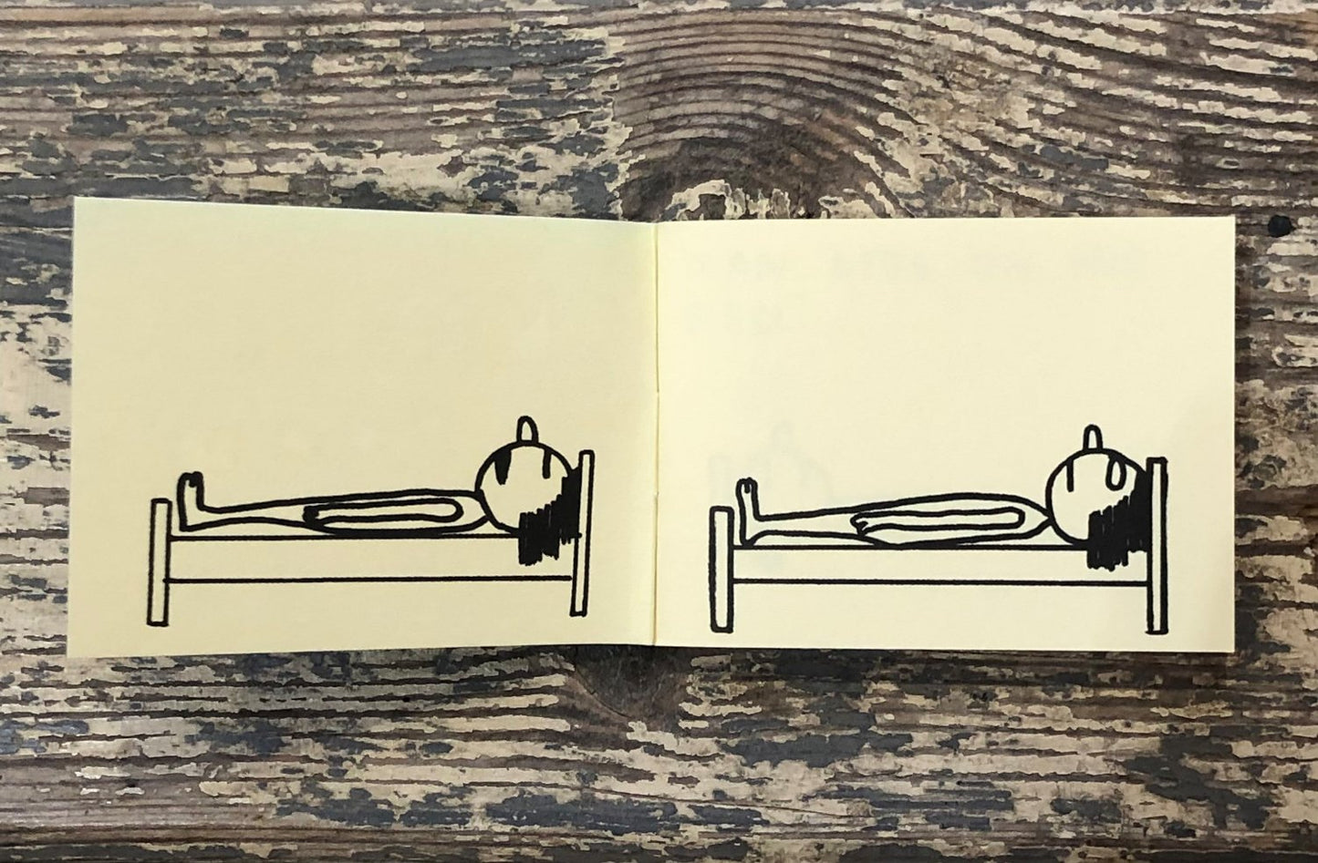David Shrigley - Man In A Room