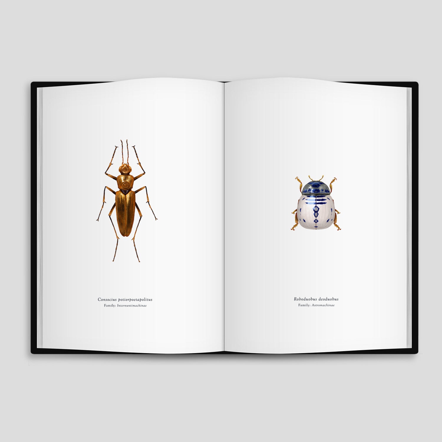 Richard Wilkinson - Arthropoda iconicus Volume I - Star Wars Insect Book