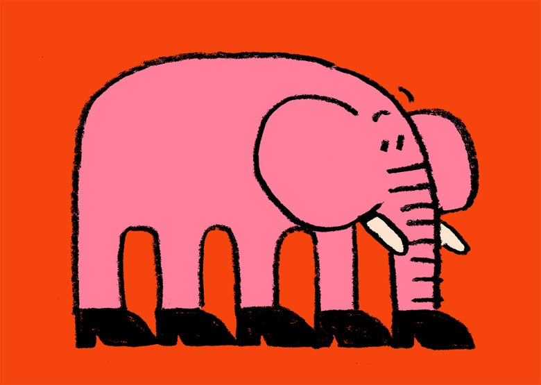 Pink elephant best sale shoes